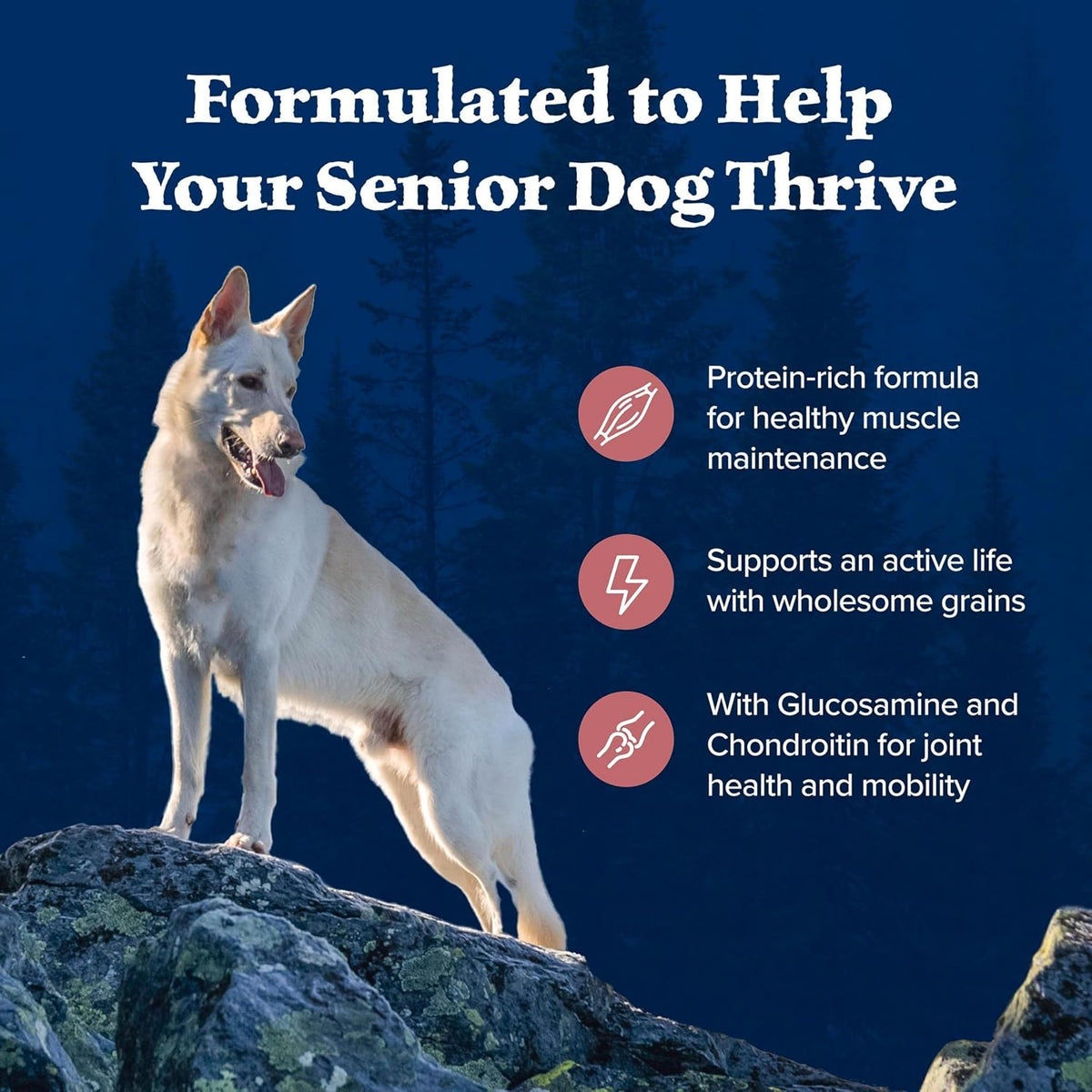Huisheng Global Salmon & Wholesome Grains Senior Dry Dog Food 4.5lb （2 pack）