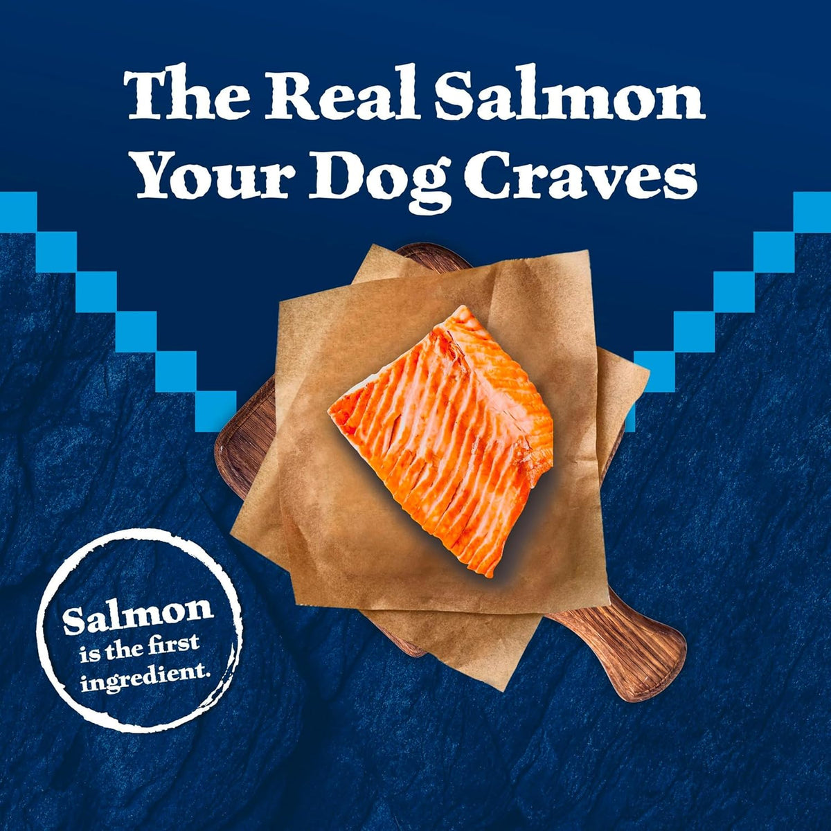 Huisheng Global Salmon & Wholesome Grains Senior Dry Dog Food 4.5lb （2 pack）