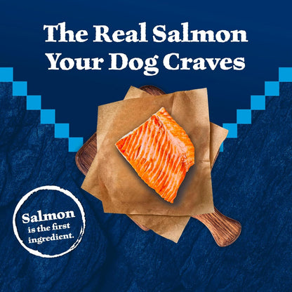 Huisheng Global Salmon & Wholesome Grains Senior Dry Dog Food 4.5lb （2 pack）