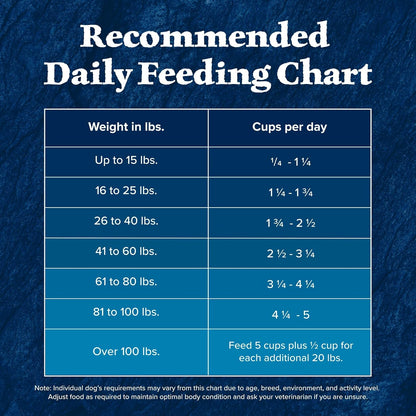 Huisheng Global Salmon & Wholesome Grains Senior Dry Dog Food 4.5lb （2 pack）